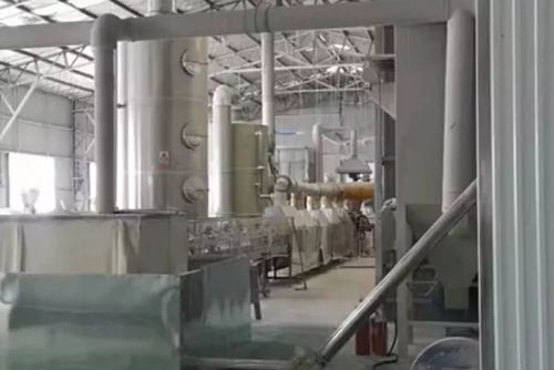 周末战斗号角,临沂生态环保人已吹响