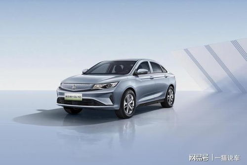 舒适更智能 睿蓝枫叶80v pro 睿蓝枫叶60s pro上市