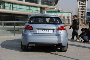 东标东雪国博店